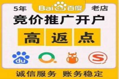 SEM代运营案例：助力企业实现线上转型